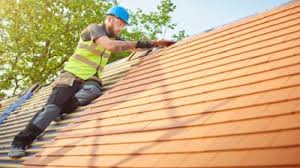 Best Roof Moss and Algae Removal  in Arkwright, SC